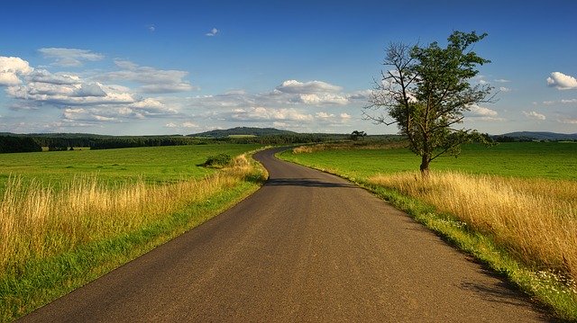 Regulatory wzrostu w zbożach ozimych: optymalizacja plonów