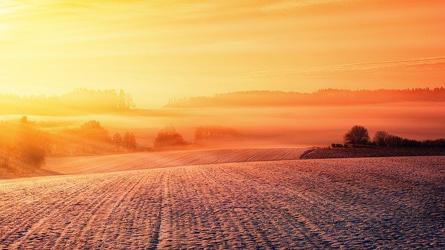 Pacyfik 30 od – jak zmienia podejście do ochrony roślin?
